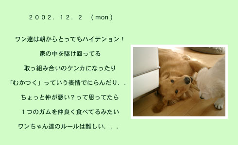 diary_1202