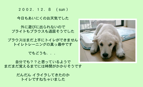 diary_1208