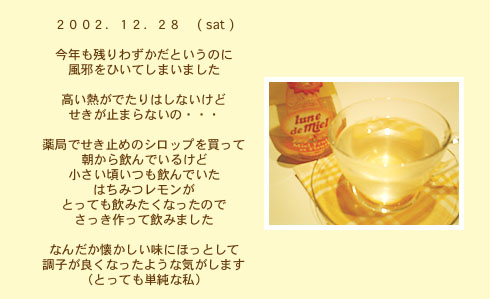 diary_1228