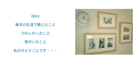 diary_top