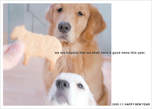 diary_0101