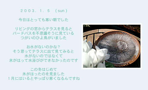 diary_0105