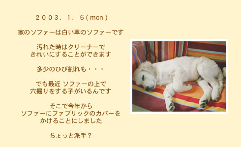 diary_0106
