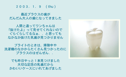 diary_0109