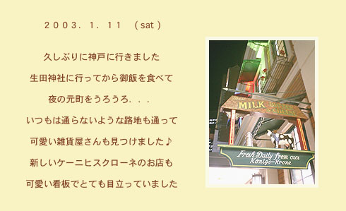 diary_0111