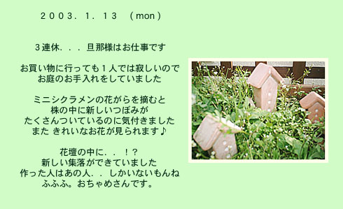 diary_0113