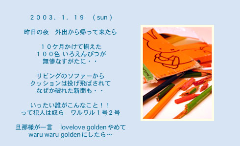 diary_0119