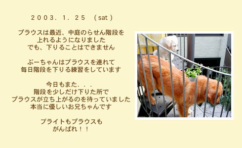 diary_0125