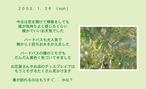 diary_0126