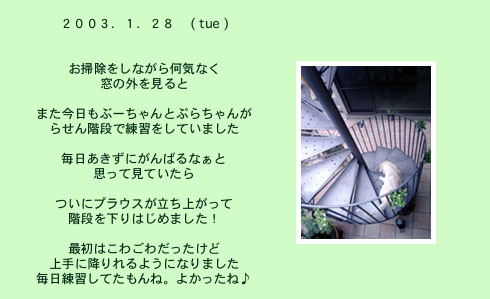diary_0128