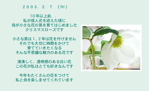 diary_0207
