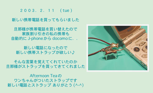 diary_0211