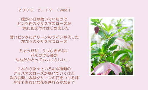 diary_0219