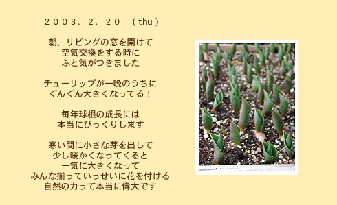 diary_0220