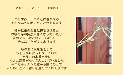 diary_0223