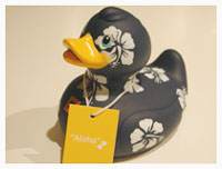 ALOHA diary_031014