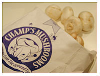 ☆CHAMP'S MUSHROOMS☆ diary_031017