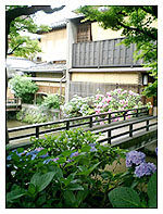 京都の街角で diary_040612
