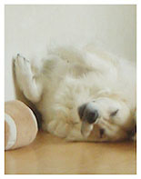 いきなり眠くなるねん...子供やからね diary_050824