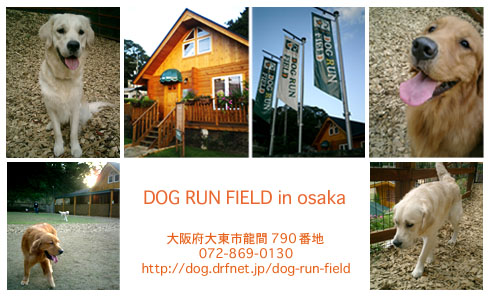 DOG RUN FIELD.img