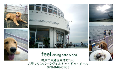 feel.img