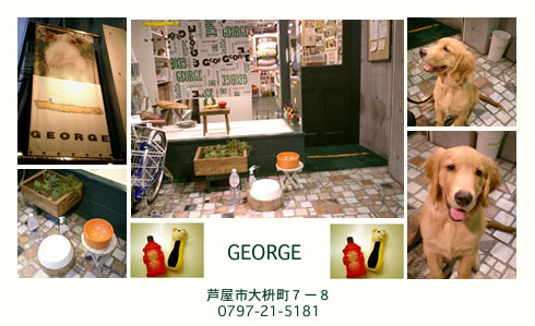 george.img