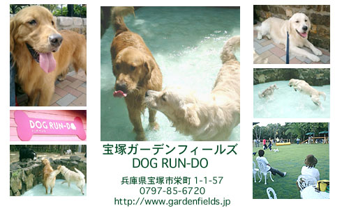 DOG RUN-DO.img