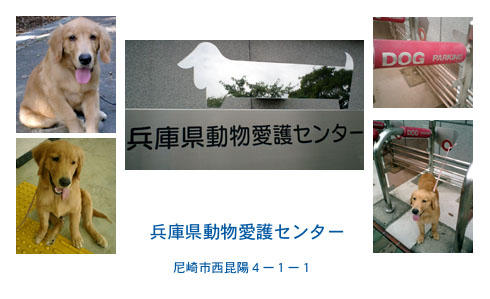 trainingschool.img